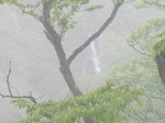 画像 010.jpg