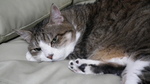 DSCF1148.jpg